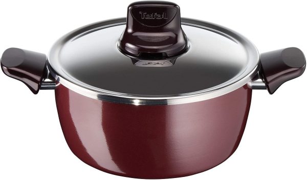 Tefal Pleasure Stew Pan With Lid